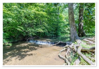 The creek that runs through our campground