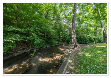 The creek that runs through our campground